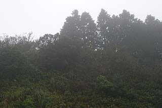 箱根ターンパイクから見た無線中継所方向の眺め