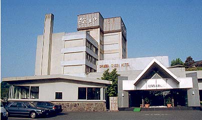 下田温泉ホテル 栄岬